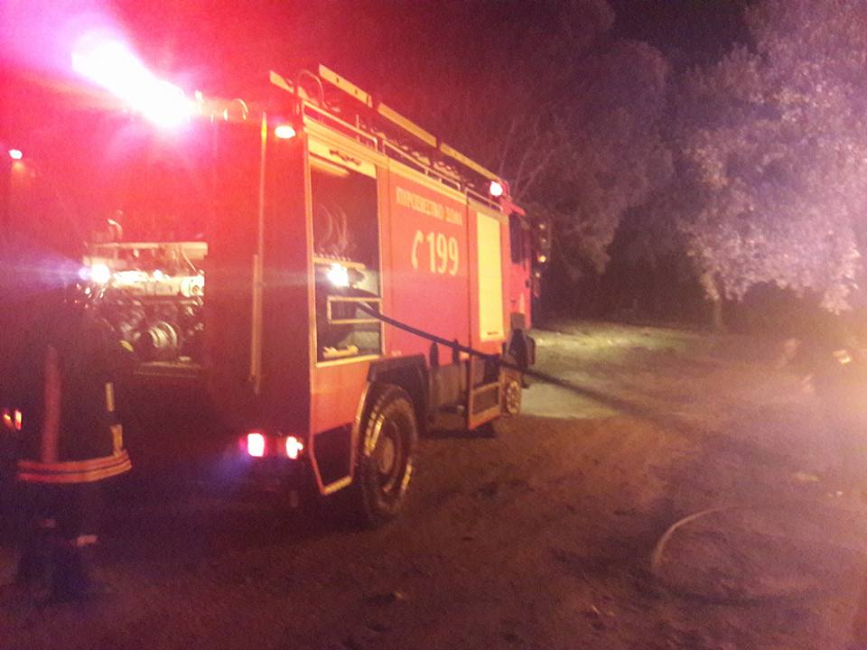 27067624 1750471184974976 3895875835052880977 n