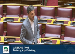 Απ. Πάνας: «Χωρίς σαφές χρονοδιάγραμμα το Ελαιοκομικό Μητρώο» (βίντεο)