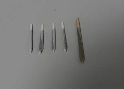 Επιχείρηση της Αστυνομίας για ναρκωτικά σε Χαλκιδική και Θεσσαλονίκη