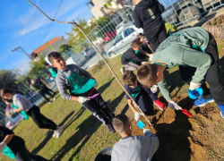 Μαθητές, εκπαιδευτικοί και εθελοντές φύτεψαν δέντρα στα Ν. Μουδανιά (φωτο & βίντεο)