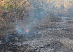 Πρόστιμο για κάψιμο κλαδιών στη Χαλκιδική