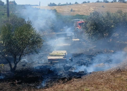 Δύο φωτιές σε Νικήτη και Νέα Σίλατα Χαλκιδικής (φωτο)