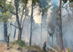 Σίβηρη: Σε επιφυλακή για αναζωπυρώσεις - Στην κυκλοφορία ο δρόμος Πολύχρονο - Κασσανδρινό - Φούρκα