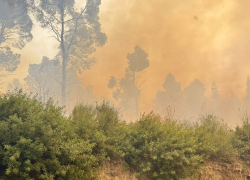 Στη Βουλή από την Κ. Μάλαμα το θέμα των ευθυνών και των μέτρων στήριξης μετά τη φωτιά στη Σίβηρη