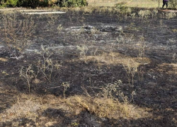 Κατάσβεση πυρκαγιάς στον οικισμό Γαλήνη Ν. Καλλικράτειας (φωτο)