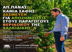 Απ. Πάνας: «Καμία σαφής δέσμευση για αποζημιώσεις στους παραγωγούς βερίκοκου της Χαλκιδικής»