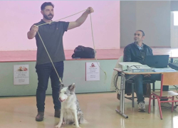 Έκλεψε την παράσταση η Jo στην ενημέρωση για τα αδέσποτα στο Δημοτικό Ν. Φώκαιας (φωτο)