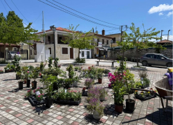 "Άνθισε" το Σαββατοκύριακο η πλατεία της Αγίας Παρασκευής στη Χαλκιδική