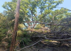 Στον εισαγγελέα δύο εργολάβο του ΔΕΔΔΗΕ για την πυρκαγιά στη Σίβηρη Χαλκιδικής