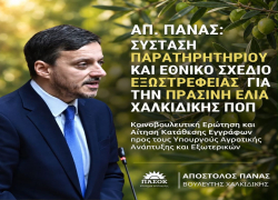 Απ. Πάνας: «Σύσταση Παρατηρητηρίου και Εθνικό Σχέδιο Εξωστρέφειας για την Πράσινη Ελιά Χαλκιδικής»