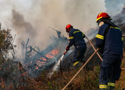 Πάνας κατά Σκέρτσου για τη φωτιά στη Χαλκιδική: «Άλλο η μάχη που δόθηκε και άλλο η πολιτική αποτίμηση»