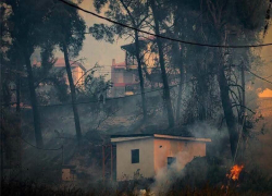 Στο πλευρό των πληγέντων της Σίβηρης Ιατρικός και Φαρμακευτικός Σύλλογος Χαλκιδικής