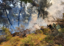 Χαλκιδική: Γρήγορα τέθηκε υπό έλεγχο φωτιά που ξέσπασε στα Ανοιξιάτικα