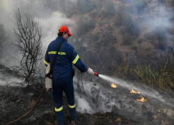 Υπό έλεγχο σε λιγότερο από μία ώρα φωτιά στα Ψακούδια Χαλκιδικής