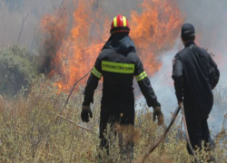 Χαλκιδική: Κινητοποίηση της Πυροσβεστικής για φωτιά στη Γαλάτιστα