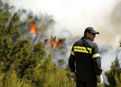 Συναγερμός στη Σκάλα του Δήμου Αριστοτέλη για φωτιά σε αγροτοδασική έκταση