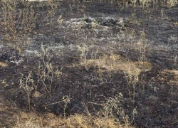 Χαλκιδική: "Καμπάνα" 2.550 ευρώ για καύση υπολειμμάτων φυτικής βλάστησης