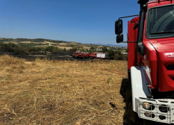 Χαλκιδική: Φωτιά σε χαμηλή βλάστηση στην περιοχή της Ν. Τρίγλιας