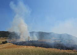 Φωτιά στη Γαλάτιστα Χαλκιδικής - Ισχυρές επίγειες και εναέριες δυνάμεις στη μάχη της κατάσβεσης
