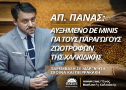 Απ. Πάνας: «Αυξημένο de minimis για τους παραγωγούς ζωοτροφών της Χαλκιδικής»