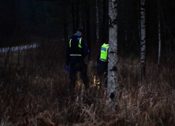 Συνεχίζεται το θρίλερ στη Χαλκιδική: Άγνωστη η αιτία θανάτου και το φύλο της σορού που εντοπίστηκε