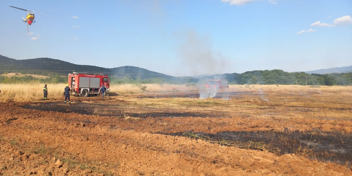 Μία σύλληψη για την πυρκαγιά στα Δουμπιά Χαλκιδικής