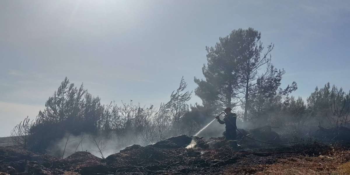 Κατάσβεση πυρκαγιάς στα Νέα Μουδανιά (φωτο)