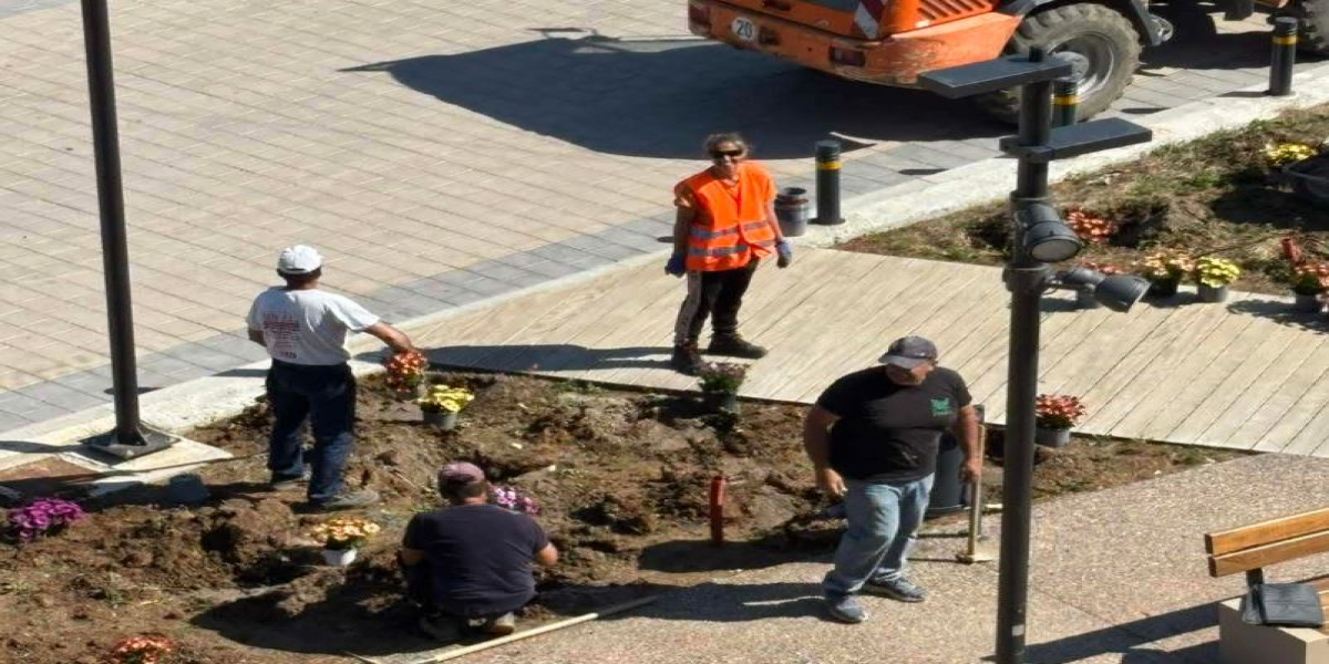 Νέα Ποτίδαια: Παρέμβαση καλλωπισμού στη μαρίνα