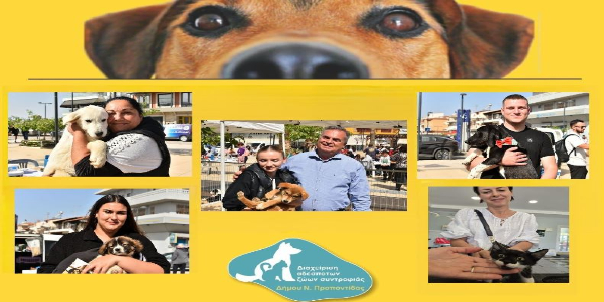 Δήμος Ν. Προποντίδας: Δεκάδες υιοθεσίες και εκατοντάδες στειρώσεις για τα αδέσποτα από το 2025