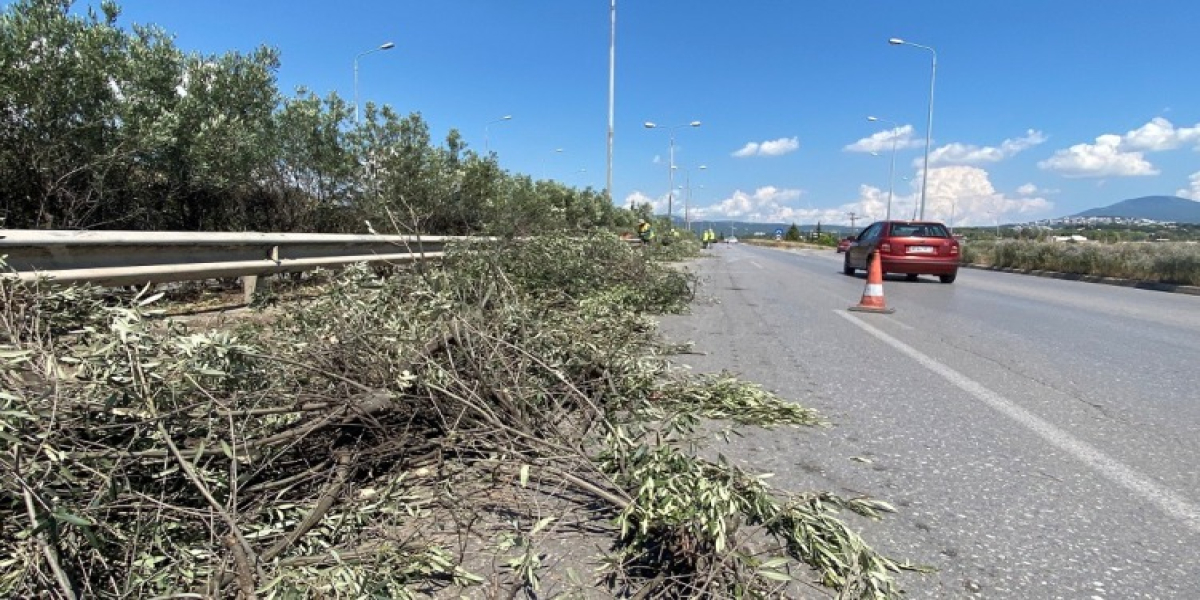 Συνεχίζονται οι εργασίες κοπής πρασίνου στη Μουδανιών