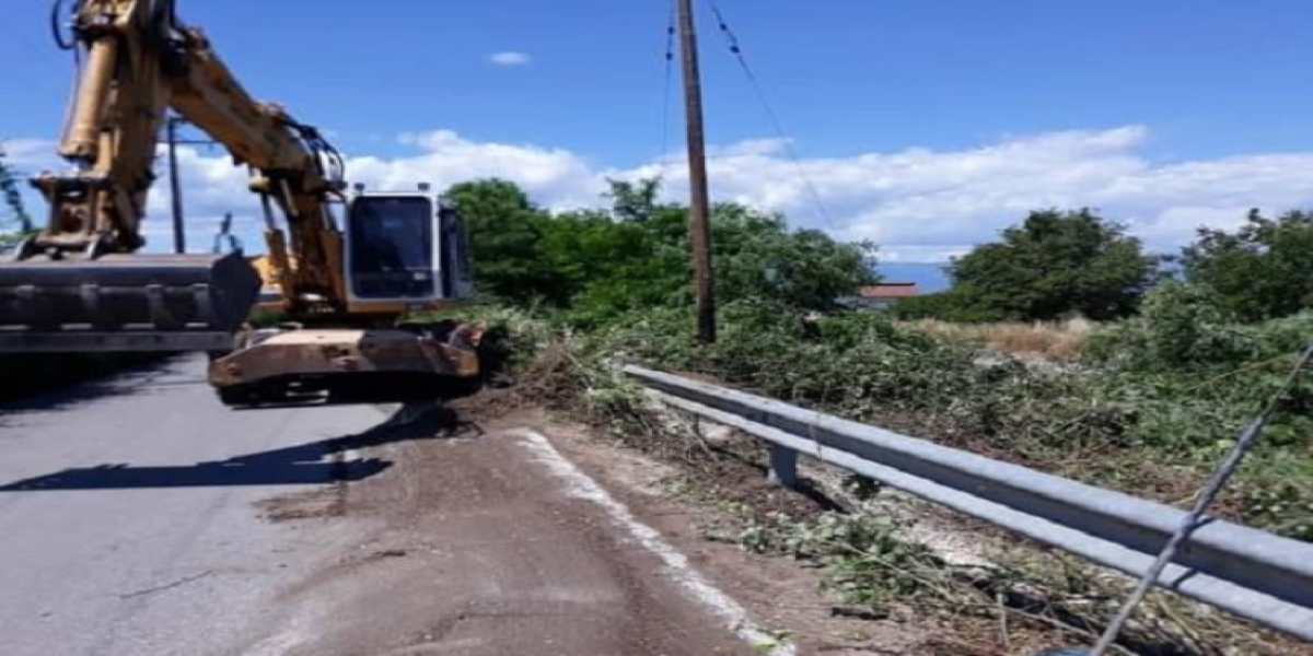 Συνεχίζονται οι εργασίες συντήρησης πρασίνου στη Μουδανιών