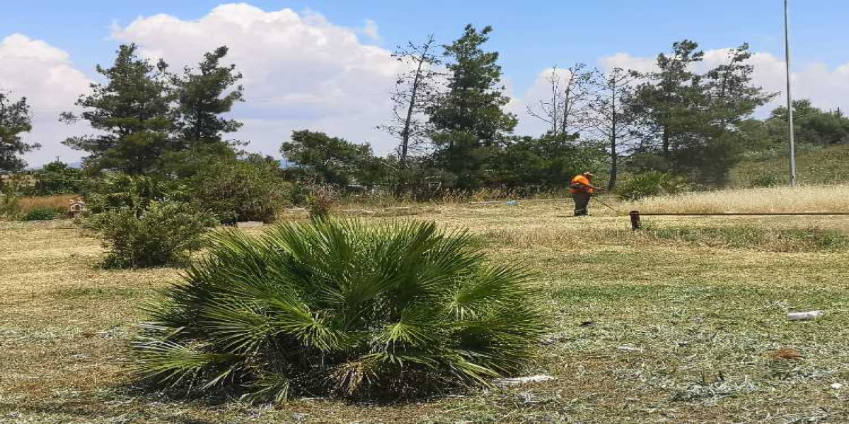 Συνεχίζονται οι εργασίες συντήρησης πρασίνου στη Μουδανιών έως τον κυκλικό κόμβο Κασσανδρείας