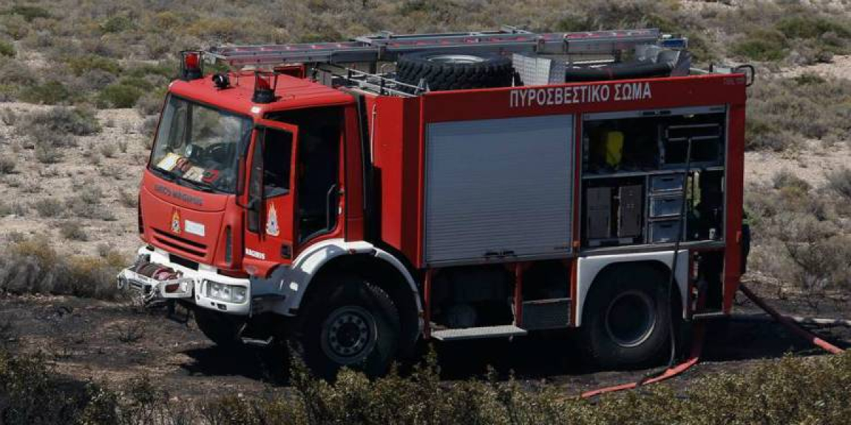 Χαλκιδική: Τέσσερα πρόστιμα σε Πολύγυρο και Σιθωνία για καύση υπολειμμάτων βλάστησης