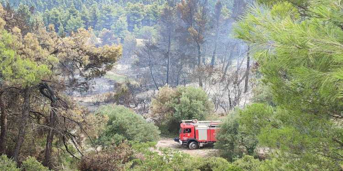 Χαλκιδική: Μεγάλη κινητοποίηση της Πυροσβεστικής για φωτιά στην Ελάνη - Ήχησε το 112