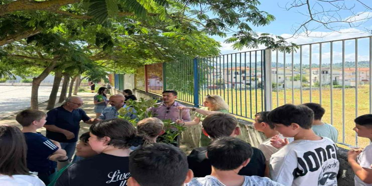 Γέφυρα επικοινωνίας μεταξύ των γενεών στην Κασσάνδρεια