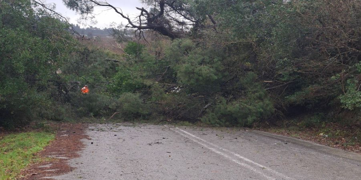 Κακοκαιρία στη Χαλκιδική: Κλειστός ο δρόμος Κασσανδρινού-Πολυχρόνου λόγω πτώσης δέντρου (φωτο)