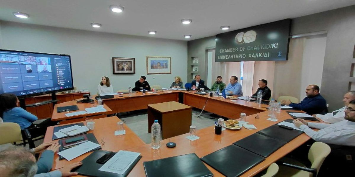 Παρέμβαση Έλενας Ράπτη στο Επιμελητήριο Χαλκιδικής για το «Σήμα Διαφορετικότητας»