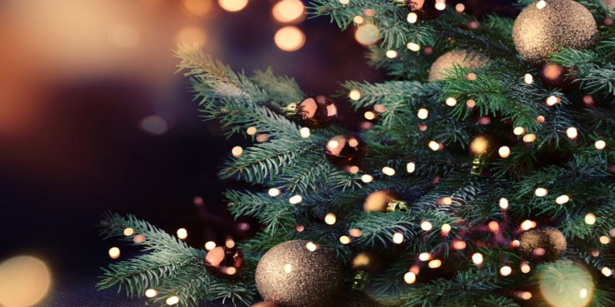 Ξεκινούν σήμερα οι Χριστουγεννιάτικες εκδηλώσεις στο Δήμο Ν. Προποντίδας