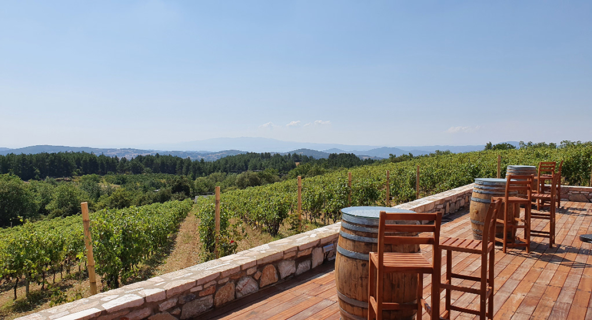 Προτάσεις από το Επιμελητήριο Χαλκιδικής για την Παγκόσμια Ημέρα Οινοτουρισμού