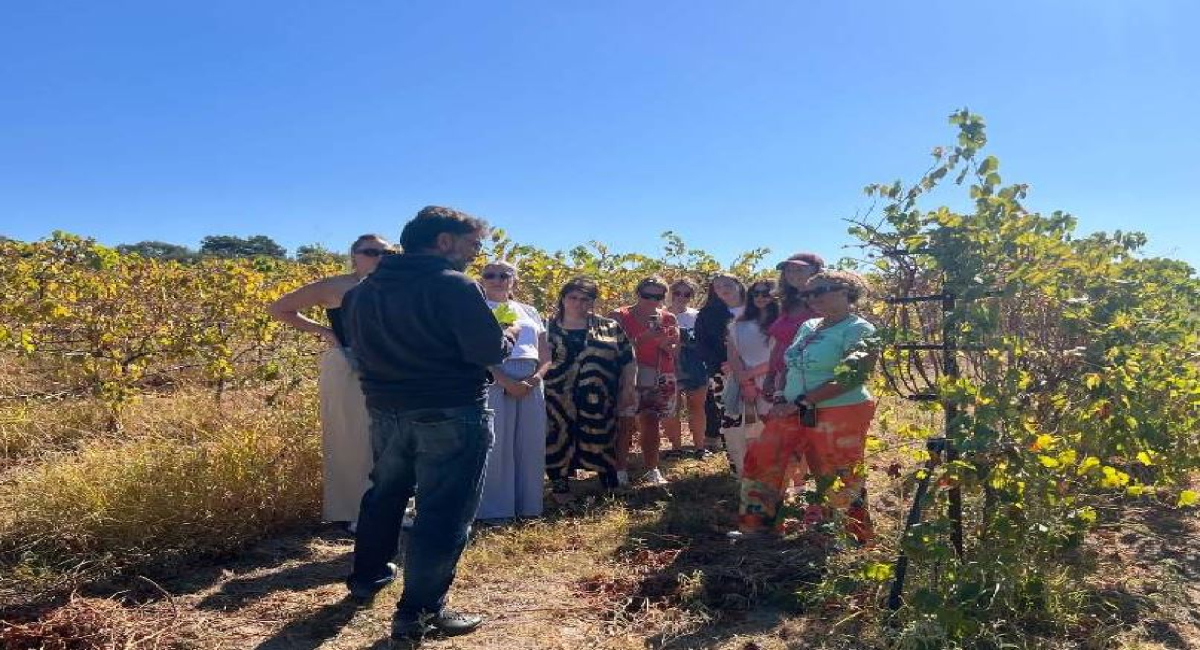 Στη Βρετανία και την Ιταλία «ταξίδεψε» η Χαλκιδική μέσω του ΤΟΧ