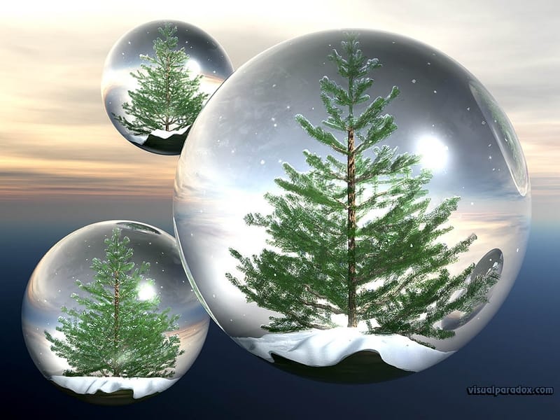 tree-globe-fir-christmas