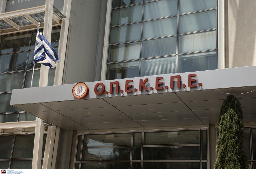 OPEKEPE N 1024x695