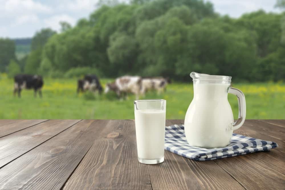 Milk at prairie