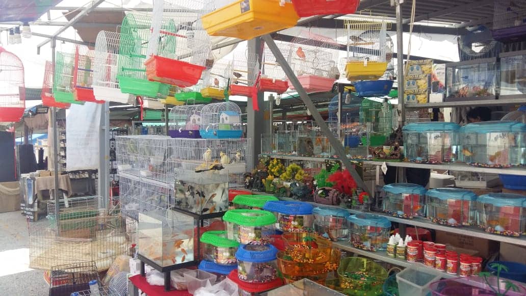 Î‘Ï€Î¿Ï„Î­Î»ÎµÏƒÎ¼Î± ÎµÎ¹ÎºÏŒÎ½Î±Ï‚ Î³Î¹Î± Ï€Î±Î½Î·Î³Ï…ÏÎ¹ Î±Î³Î¹Î¿Ï… Î¼Î±Î¼Î±