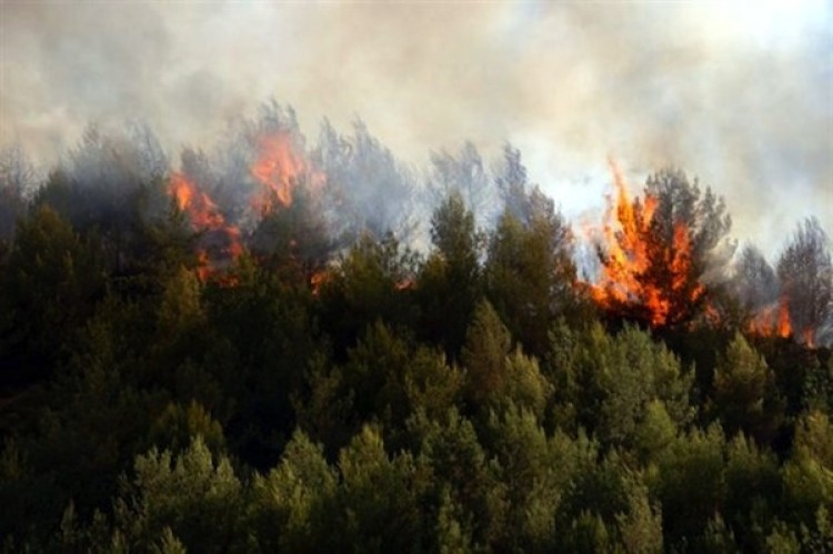 Συζήτηση για τη Χαλκιδική, ως ζώνη υψηλού κινδύνου για πυρκαγιά, στην Περιφέρεια