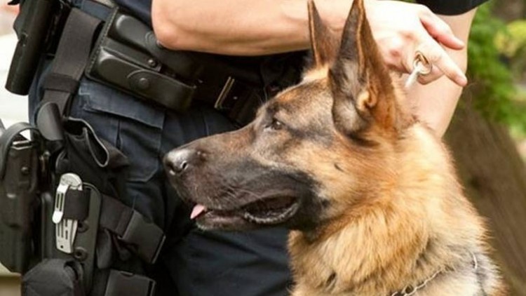 Ο αστυνομικός σκύλος της Χαλκιδικής &quot;ξετρύπωσε&quot; ναρκωτικά στη Βέροια