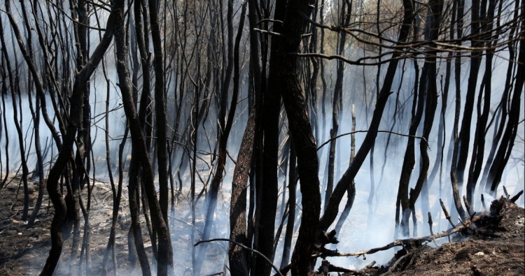 Στους 94 οι νεκροί από την φονική πυρκαγιά στην Ανατολική Αττική