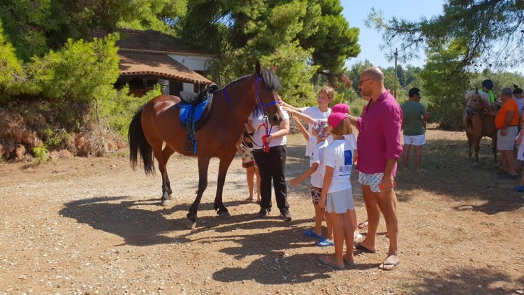 Παιδιά μαθαίνουν για τα άλογα στο &quot;Blue Dolphin&quot; Resort Hotel (Φωτο και βίντεο)