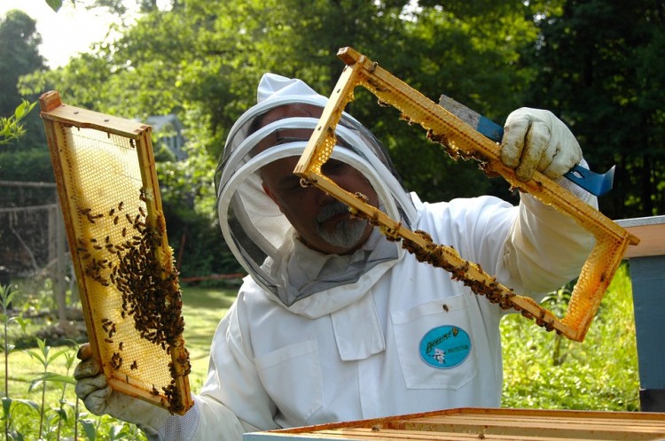 Συνεργασία Δήμου Ν. Προποντίδας με χώρες της ΕΕ για θέματα μελισσοκομίας